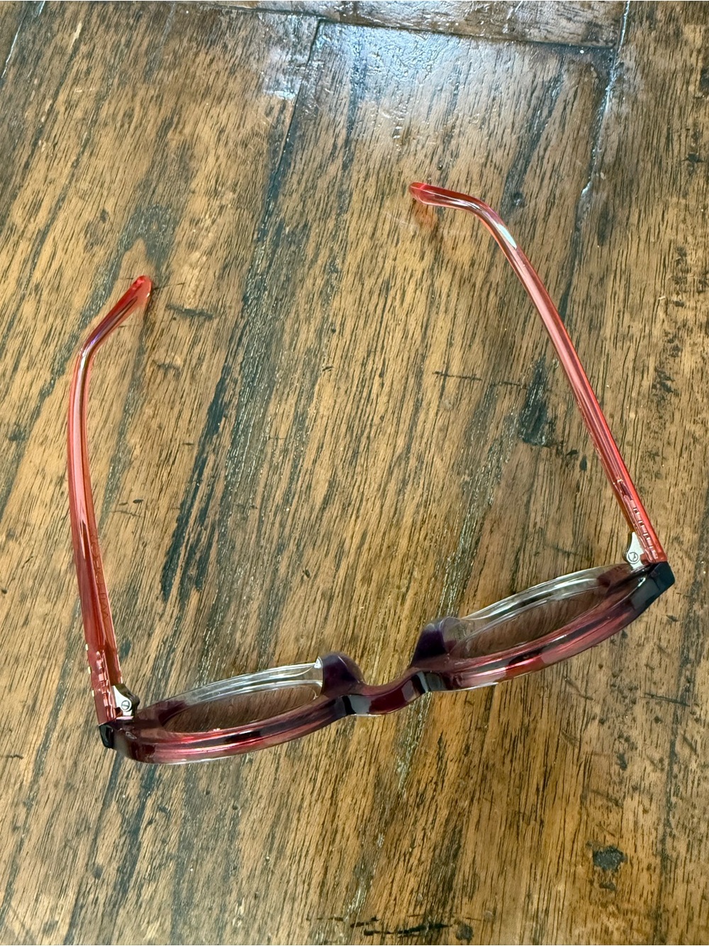 Wildfox Translucent Rose Round Sunglasses with Gold W Detail - Picture 4 of 5